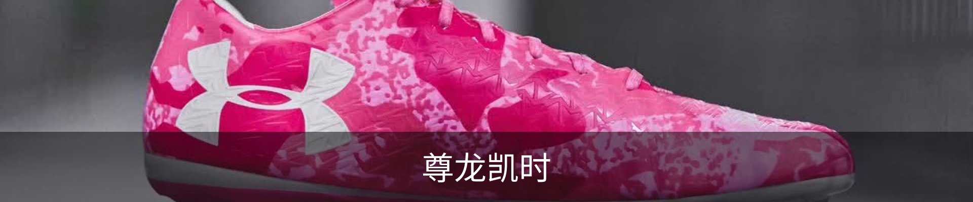 尊龙凯时 - 人生就是搏!